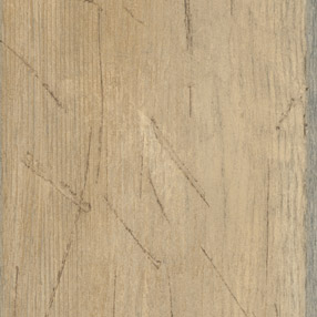 1655 pino verde