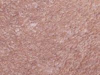 Struttura superficie Pizzara Stone (SP)