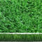 Green 22 bicolore