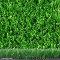 Green 22 bicolore
