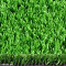 Green rm 22
