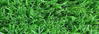 Erba sintetica per giardini