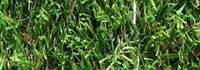 Erba sintetica Master 35